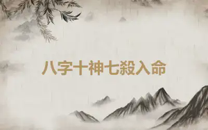 八字十神七殺入命