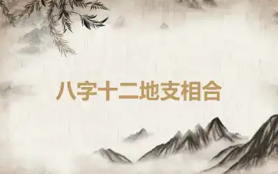 八字十二地支相合