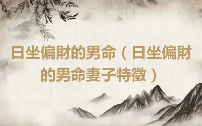 日坐偏財的男命（日坐偏財的男命妻子特徵）