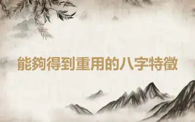 能夠得到重用的八字特徵