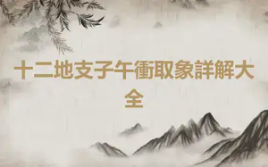 十二地支子午衝取象詳解大全