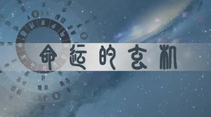 學歷高的八字特點
